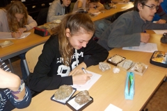 Geologický ústav 1